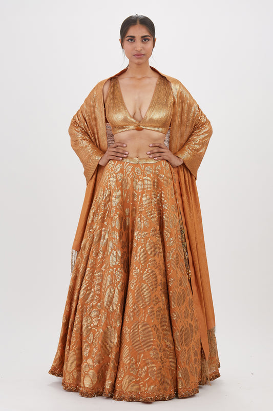 Lehenga Set in Berry Design Sequin Embroidery