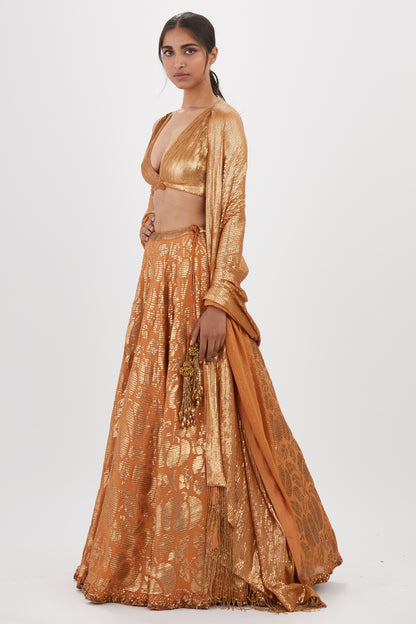 Lehenga Set in Berry Design Sequin Embroidery