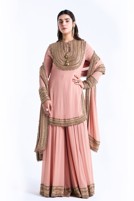 Sharara Set in Sequin Embroidery in Sequin Loat Design