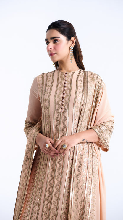 Kurta Set in Sequin embroidery in Diya Border Design