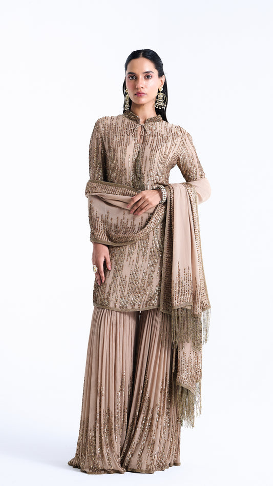 Gharara Set in Up Down Sequin Embroidery