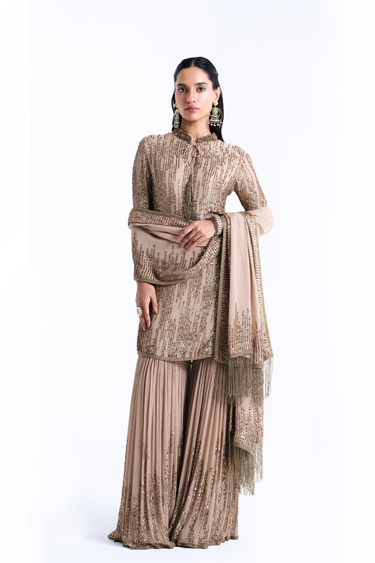 Gharara Set in Up Down Sequin Embroidery