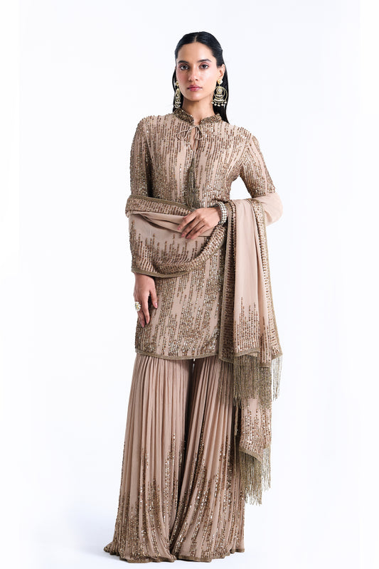 Gharara Set in Up Down Sequin Embroidery
