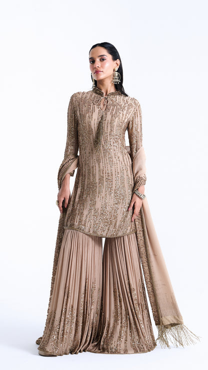 Gharara Set in Up Down Sequin Embroidery
