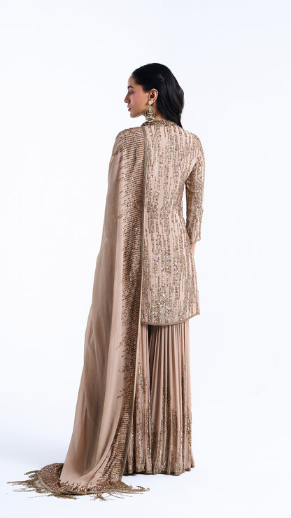 Gharara Set in Up Down Sequin Embroidery