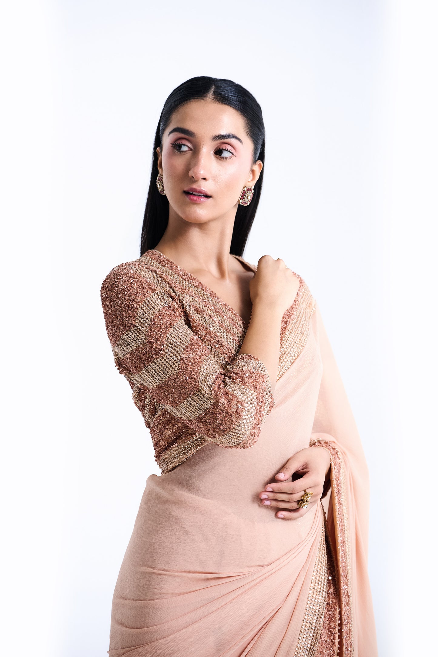 Sari Set in Sequin and Stone