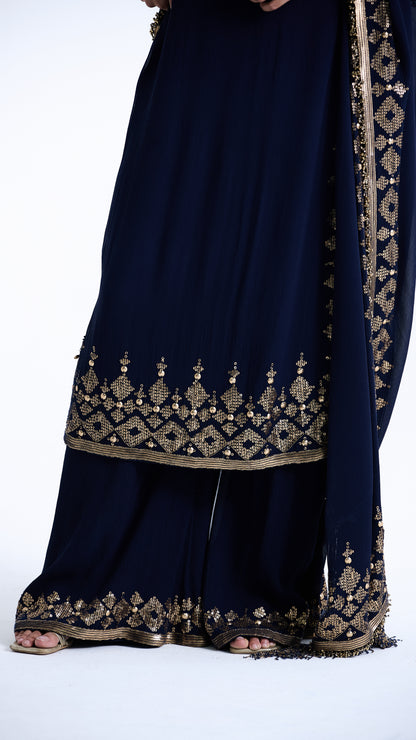 Kurta Set in Sequin Embroidery in Diya Border Design