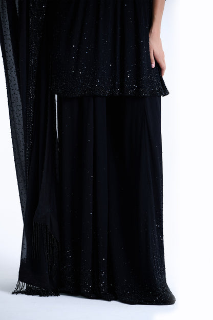 Sharara Set in Stone and Sequin Embroidery