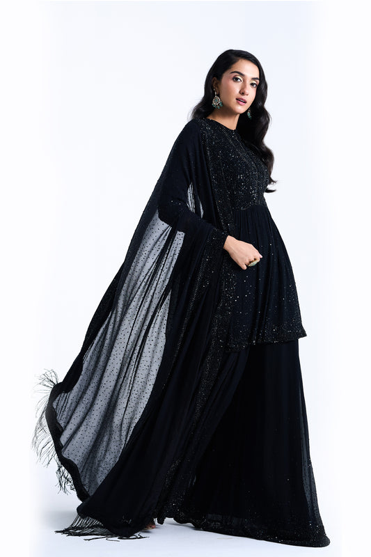 Sharara Set in Stone and Sequin Embroidery