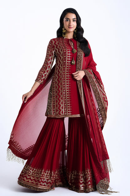 Sharara Set in Sequin Embroidery in Diya Border Design
