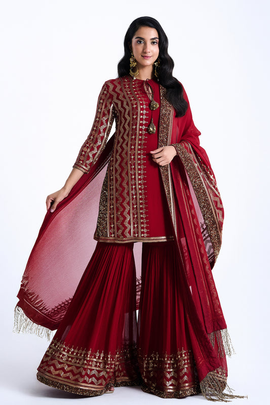 Sharara Set in Sequin Embroidery in Diya Border Design