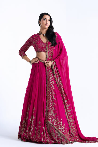 Lehenga Set in Sequin Embroidery in Diya Border Design