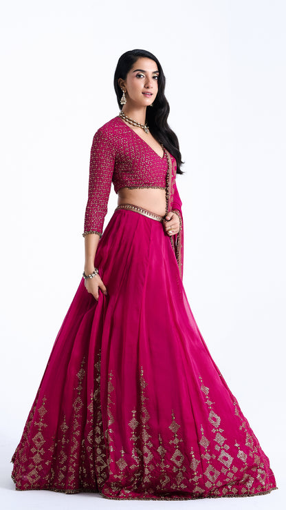 Lehenga Set in Sequin Embroidery in Diya Border Design