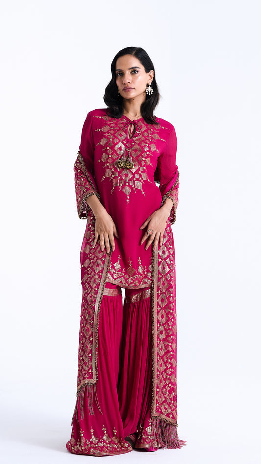 Gharara Set in Sequin Diya Border Design Embroidery