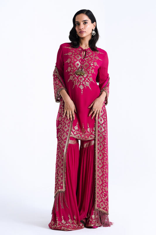 Gharara Set in Sequin Diya Border Design Embroidery