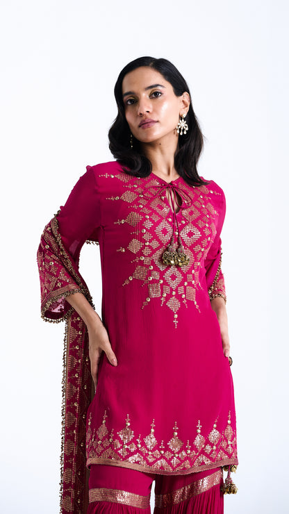 Gharara Set in Sequin Diya Border Design Embroidery