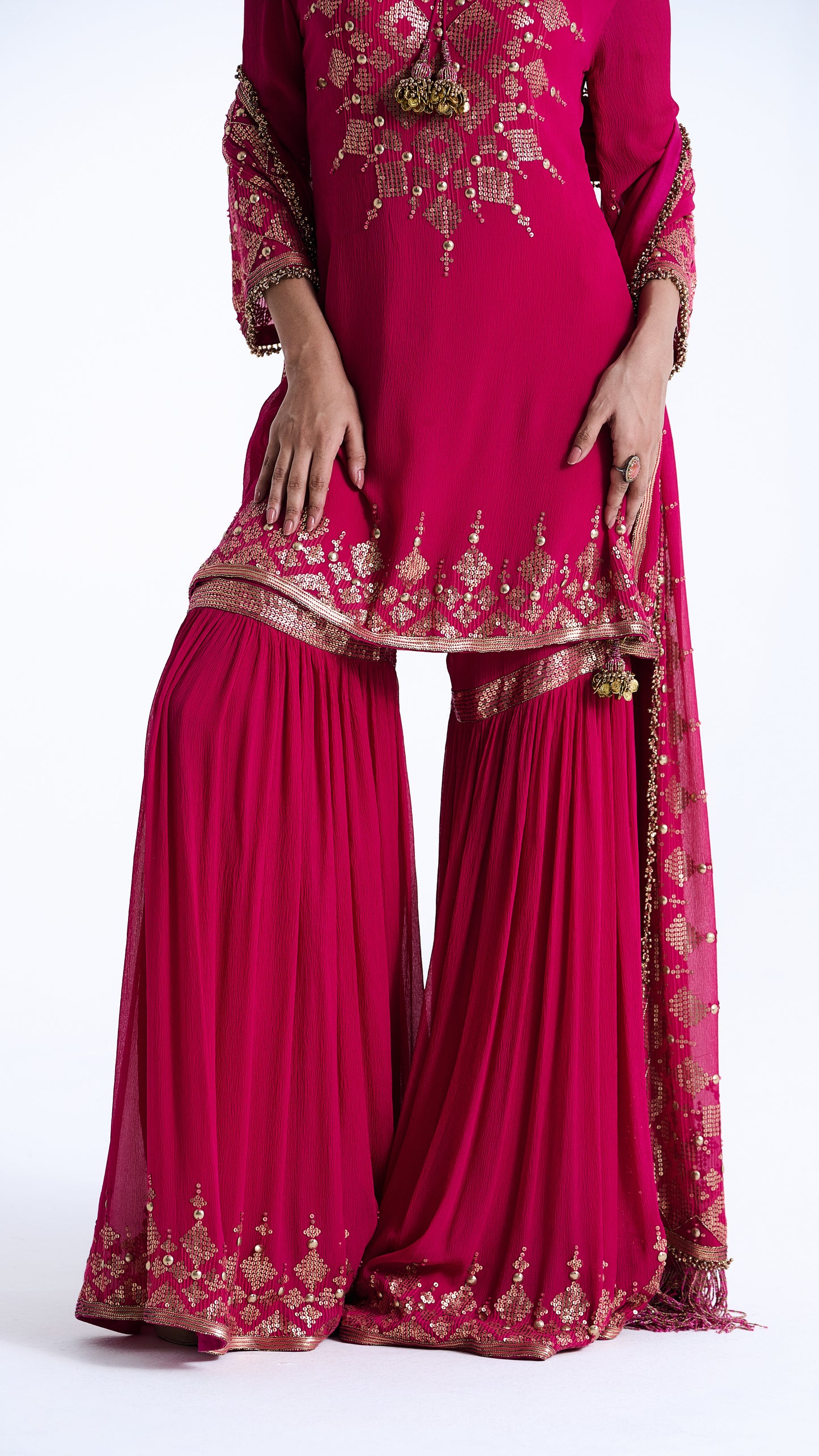 Gharara Set in Sequin Diya Border Design Embroidery