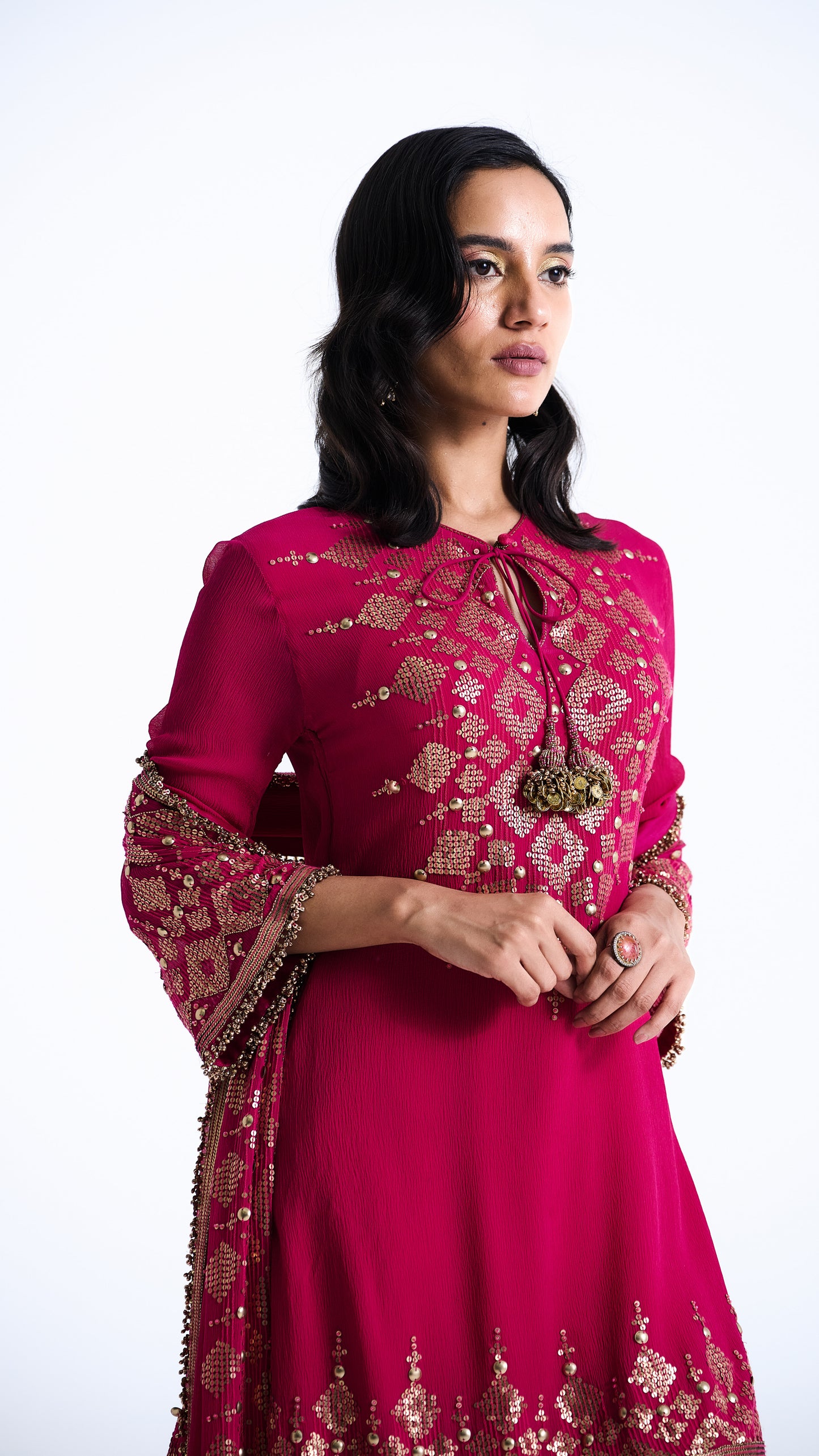 Gharara Set in Sequin Diya Border Design Embroidery
