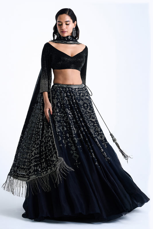 Lehenga Set in Sequin Embroidery in Diya Border Design