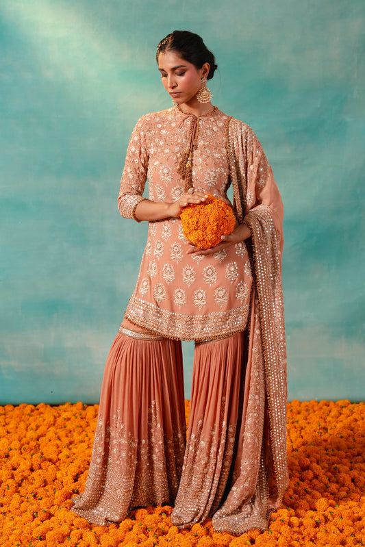Gharara Set in Mirror and Thread Embroidery