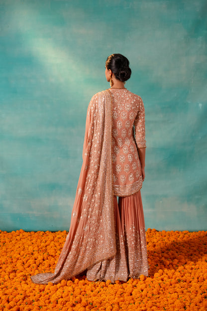 Gharara Set in Mirror and Thread Embroidery