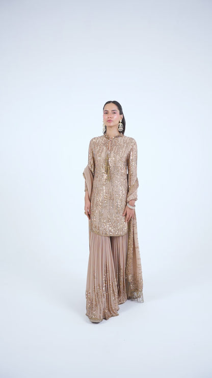 Gharara Set in Up Down Sequin Embroidery
